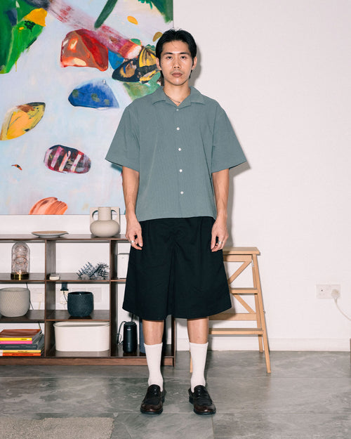 No Iron Shirt